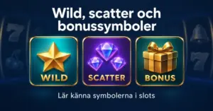 Illustration av slotsymbolerna wild, scatter och bonus med en guldstjärna, tre lila diamanter och en gyllene presentask.